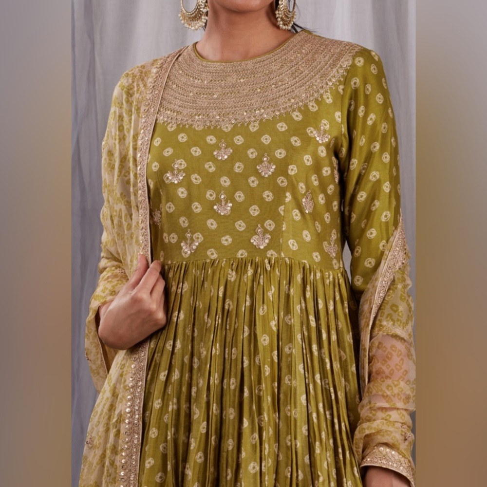 Elegant Olive Green Embroidered Dress Punit Balana
